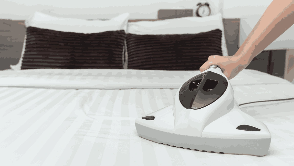 Professional Mattress Cleaning Diamond Creek
